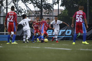 hth-中国足球青训成果展示会在多地举办，中国足球青训比赛