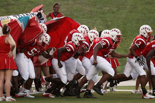 华体会官方登录入口-印度继续保持连胜,主帅称尚未满足,印度21人对战数万人